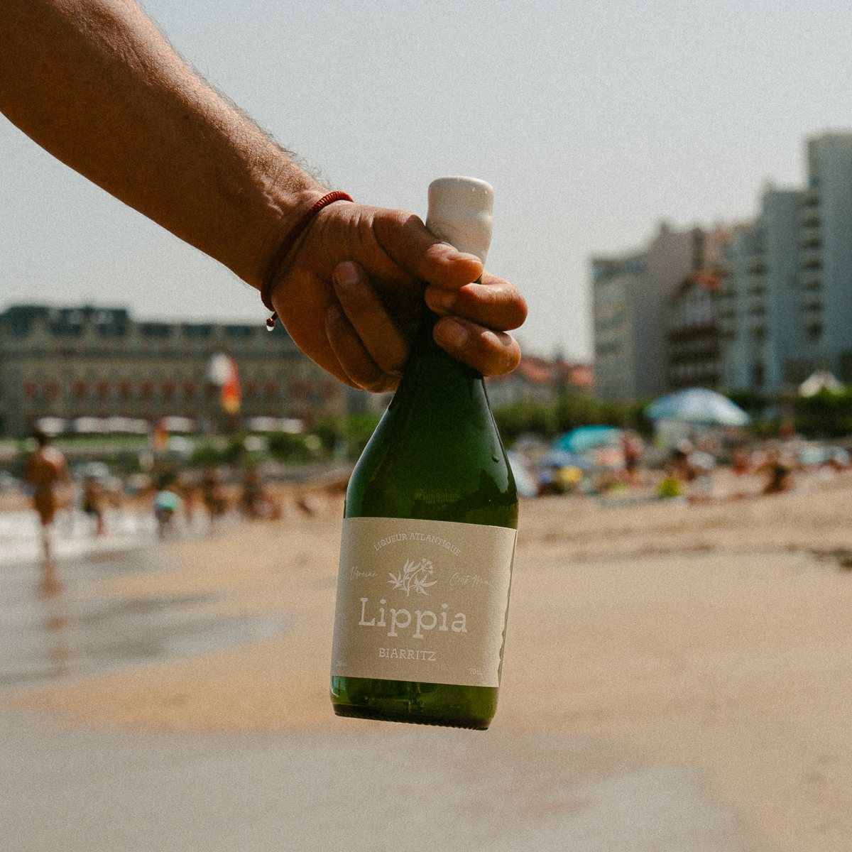 Liqueur artisanale de verveine - 70 cl - 24 % vol.